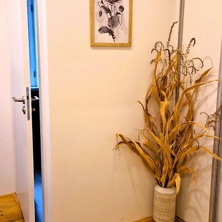 Apartmany Vcelin Brniste Zewnętrze zdjęcie