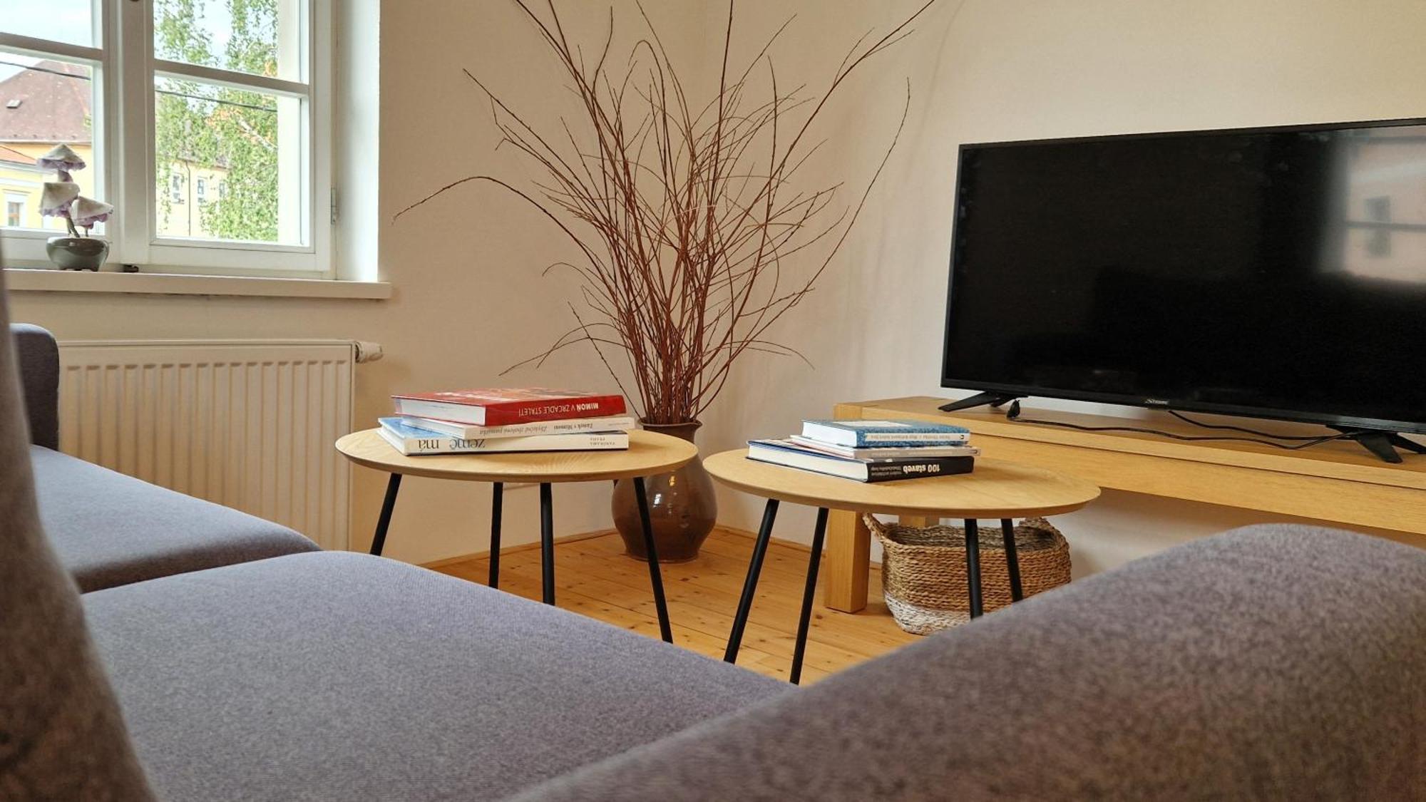 Vcelin Apartment *